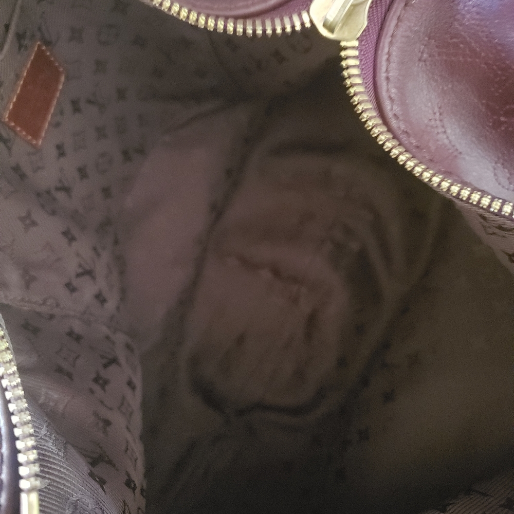 LIKE NEW LV Hobo - Picture 10 of 10